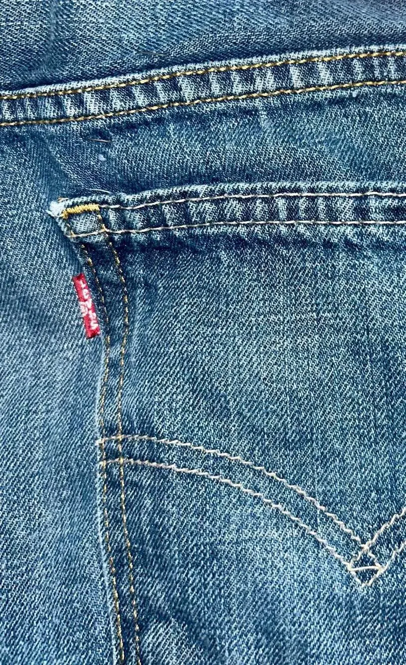 Levis levi 569